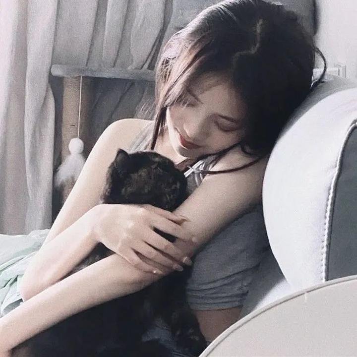 森林进化论
